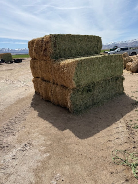 2025 1st Cut Alfalfa Big Bales - COW HAY Extra 10% off at checkout
