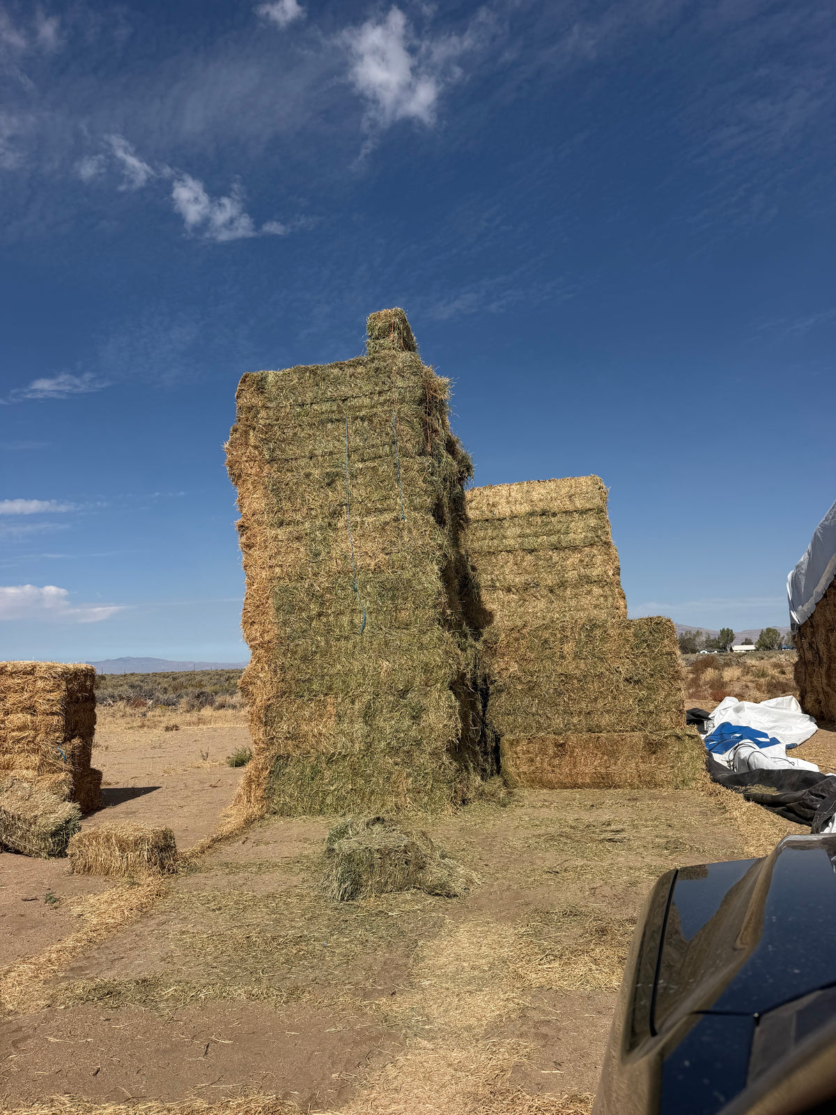Cow Hay Big Bales