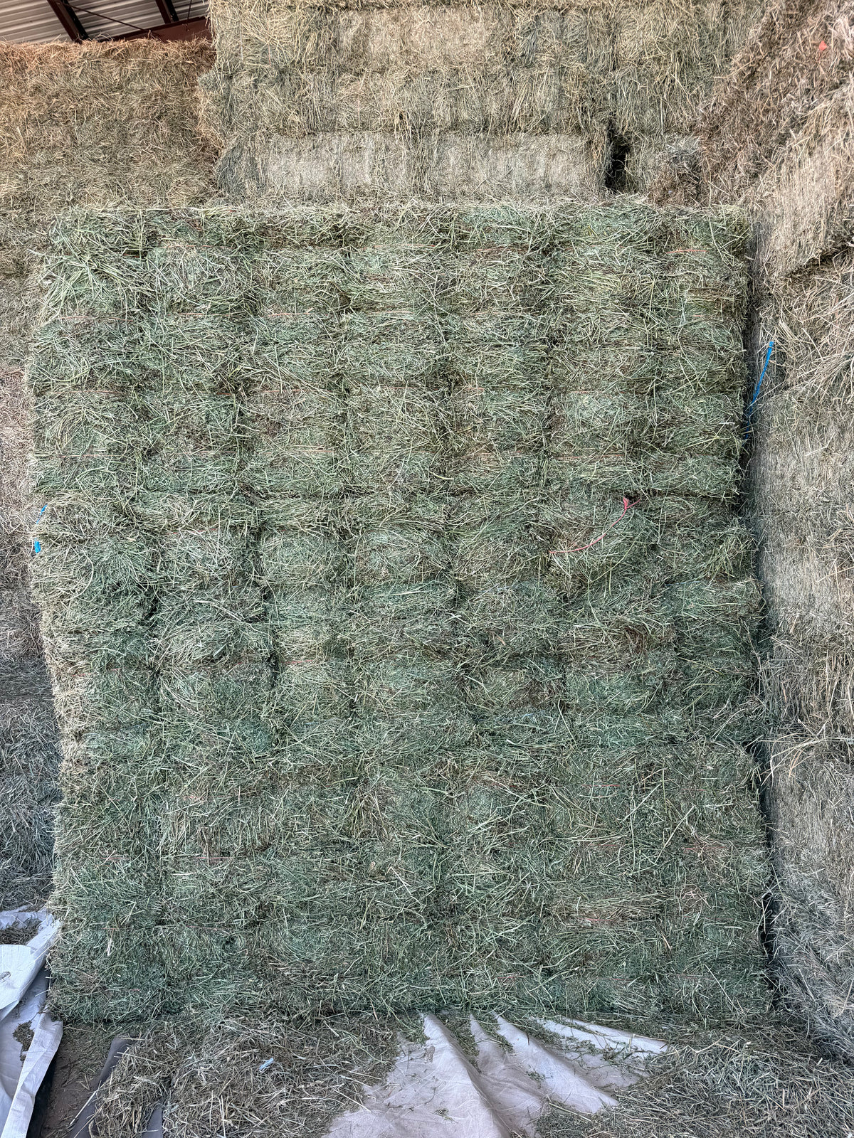 Premium Alfalfa Bundles