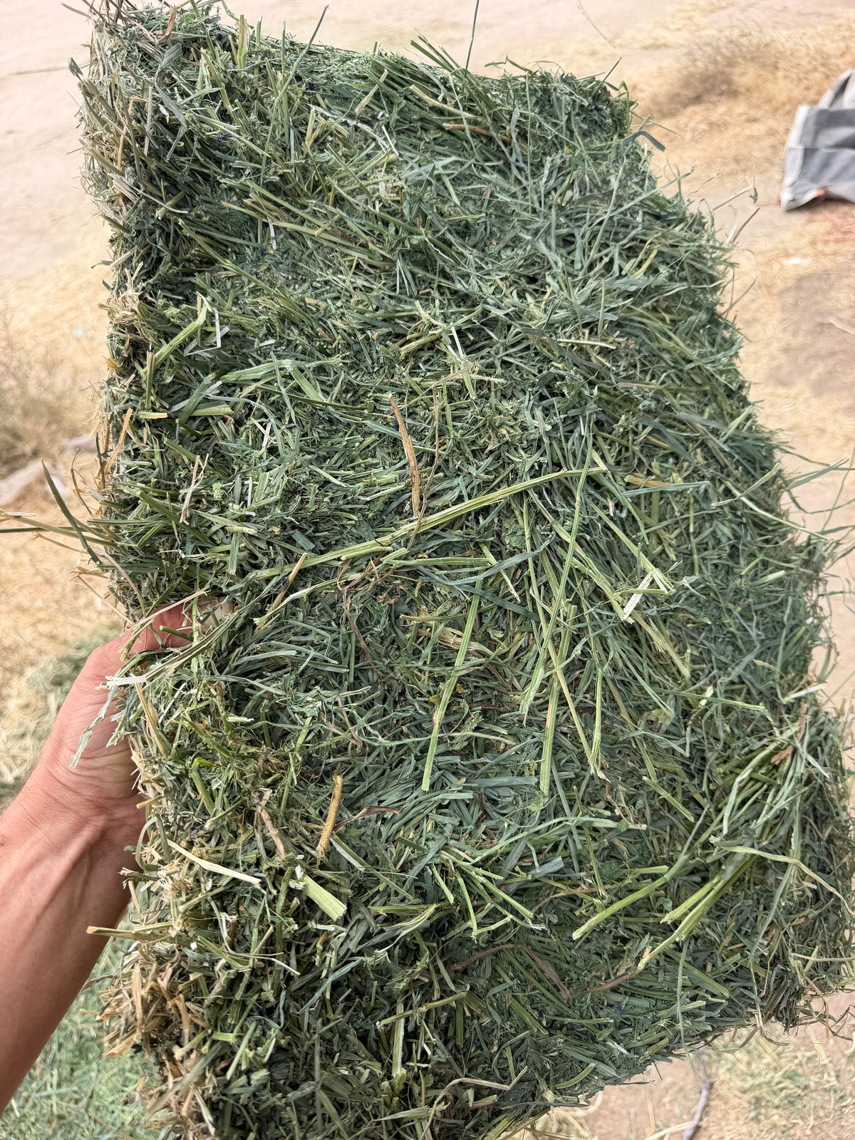 Premium Mix Hay 3 Tie Bales - 3rd Cut