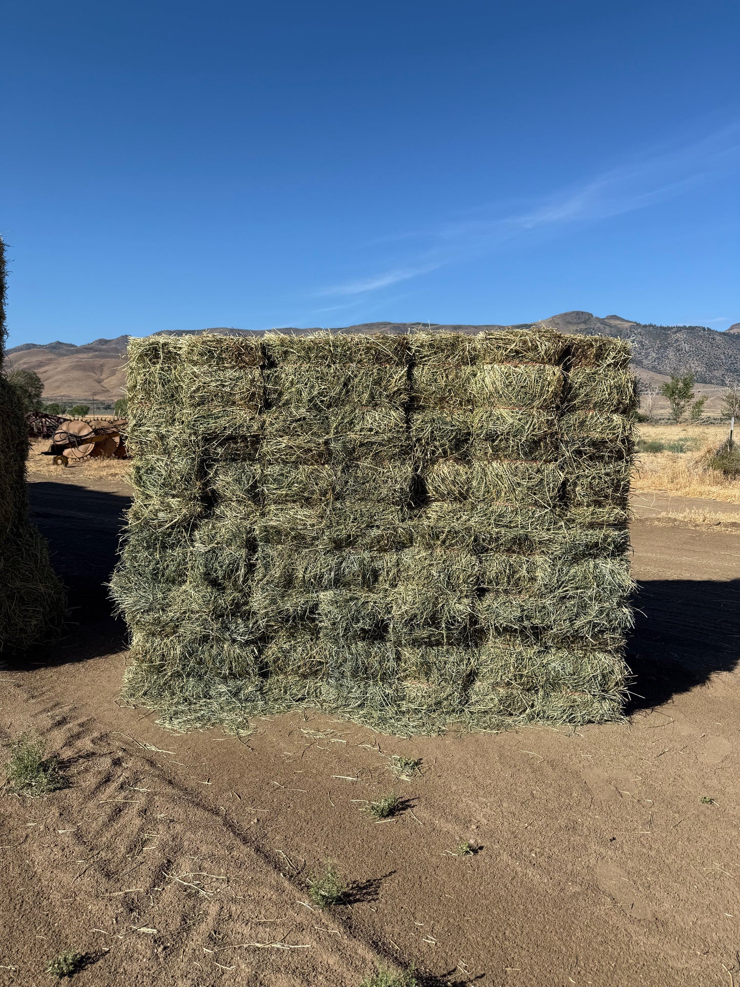2025 2nd Cutting Mix (Orchard & Alfalfa) - 50-50 Bundles (14)