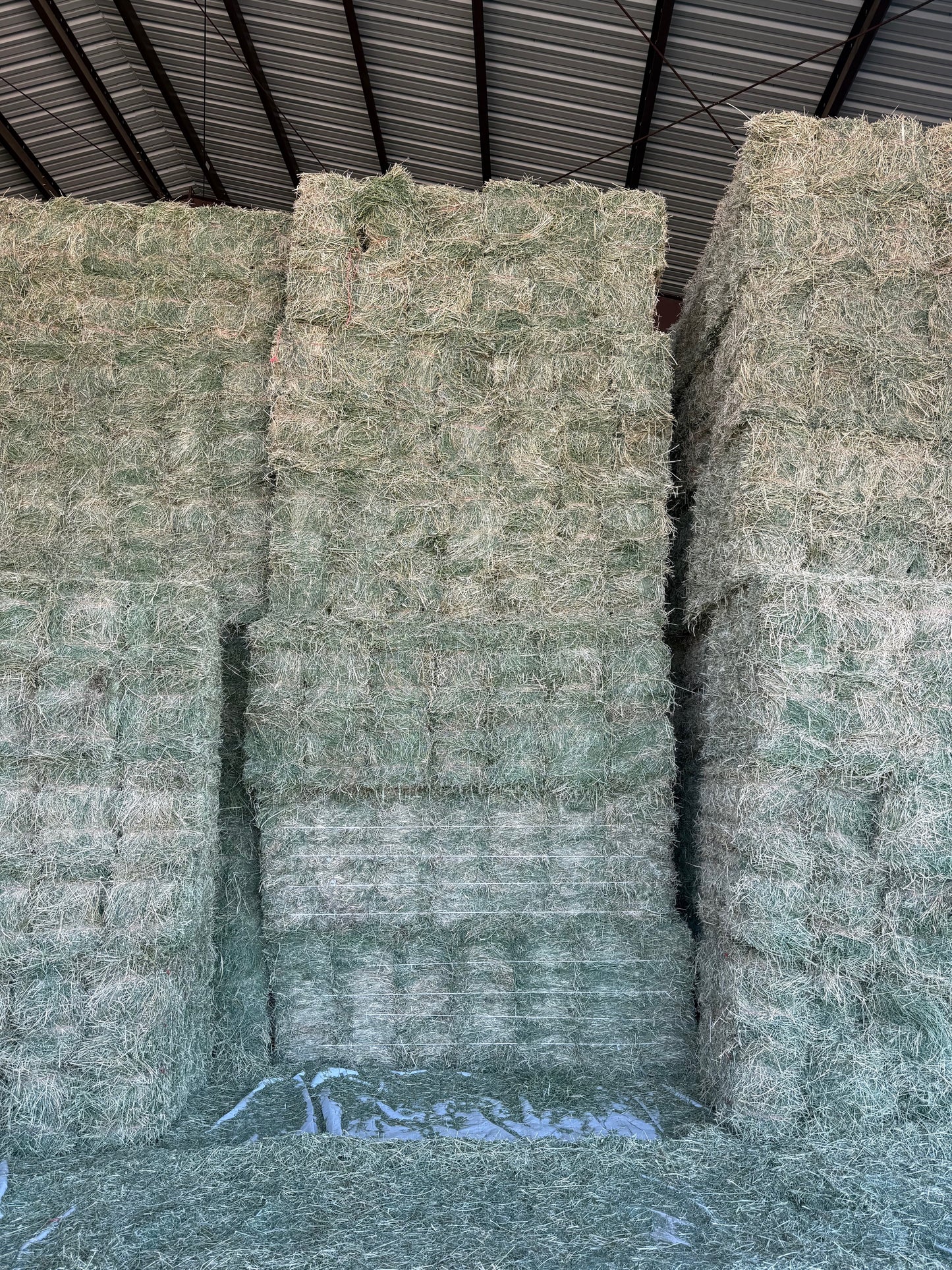 2025 3rd Cutting Alfalfa Bundles (14)