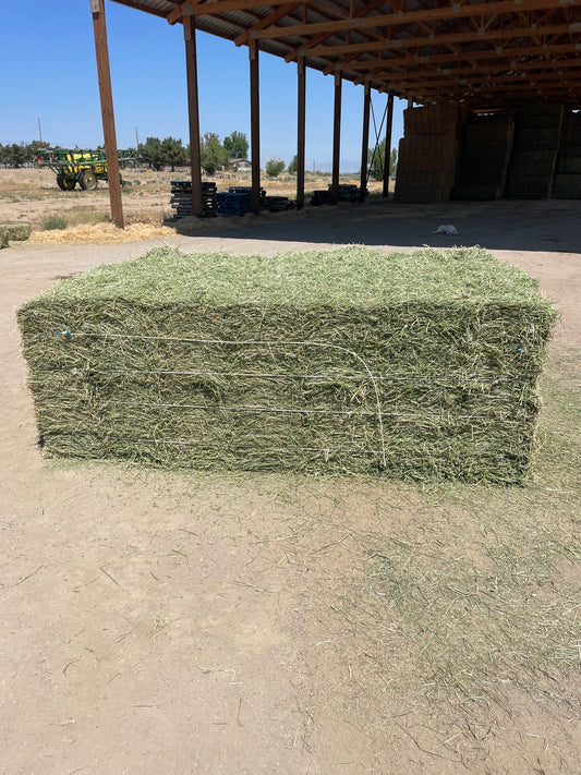 2024 Heavy Grass (Orchard & Rye) Alfalfa Mix Bundles
