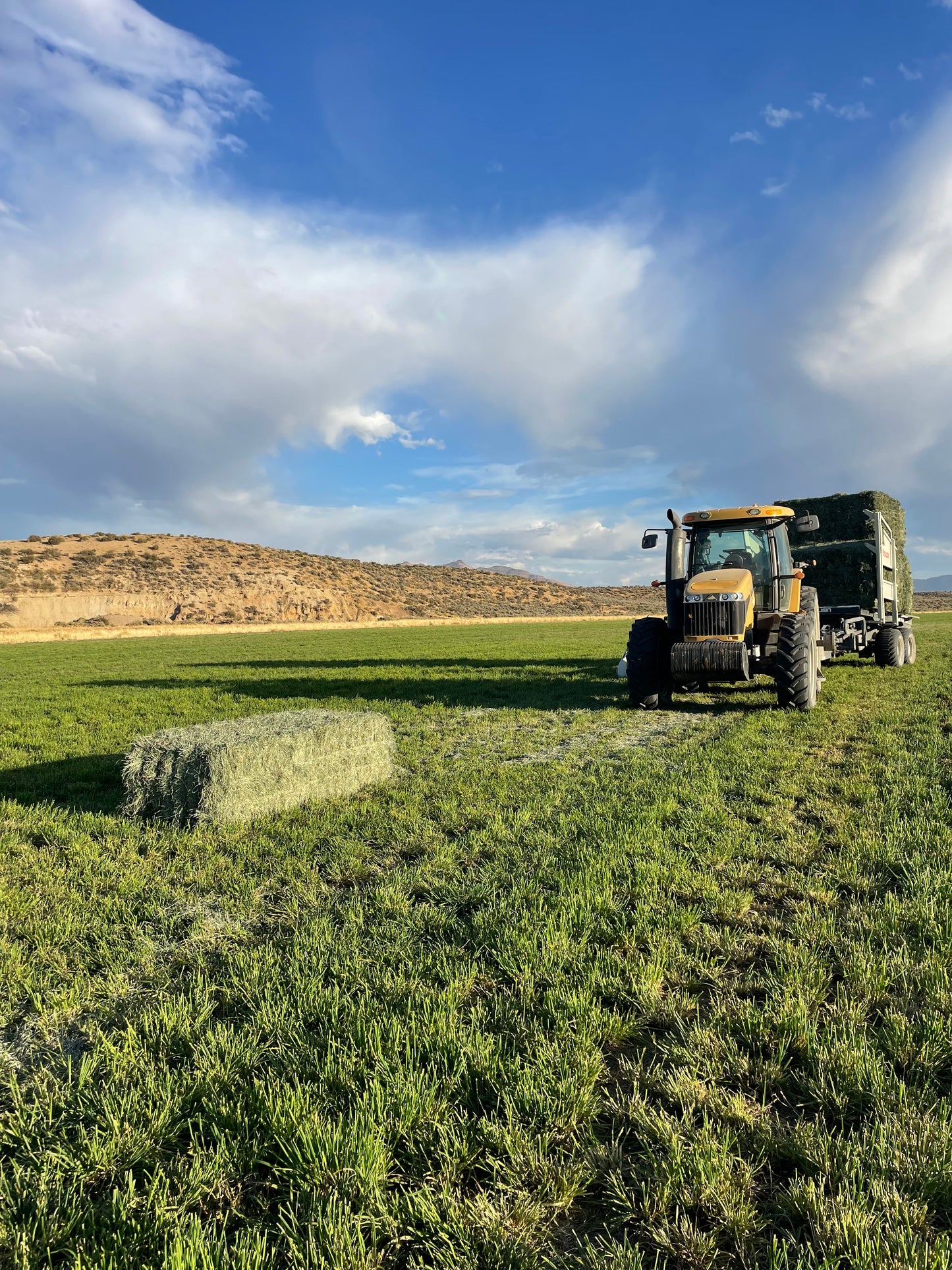 2025 Mix Big Bales
