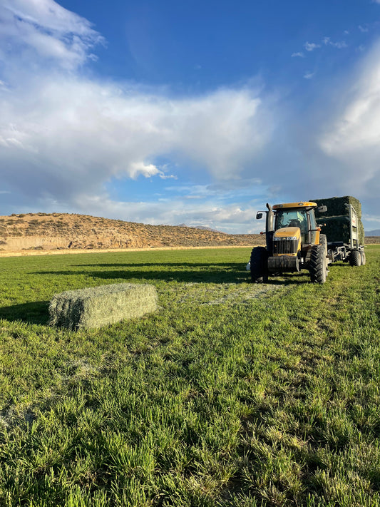 2024 Mix Big Bales