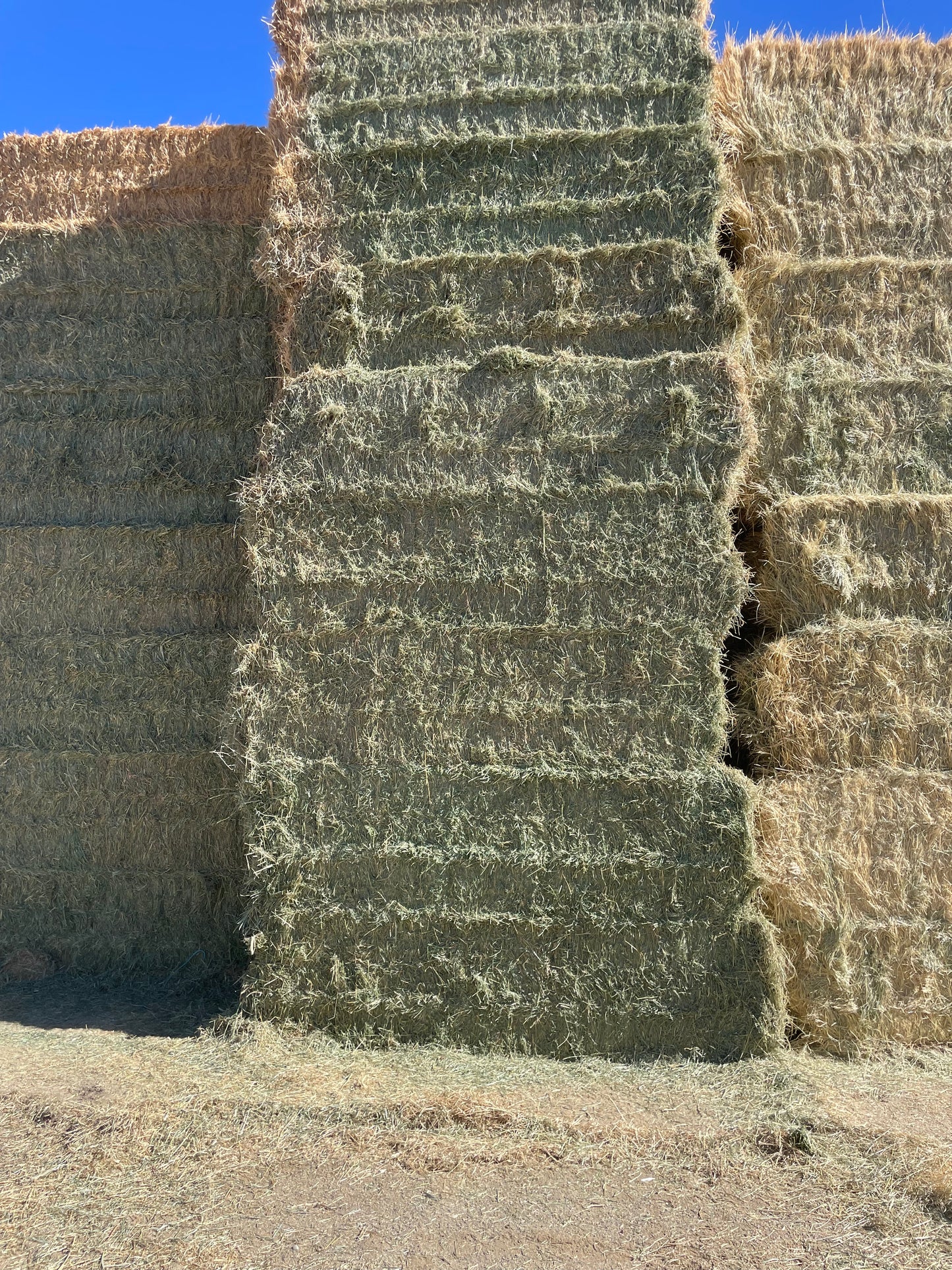 2024 2nd Cut Alfalfa Big Bales