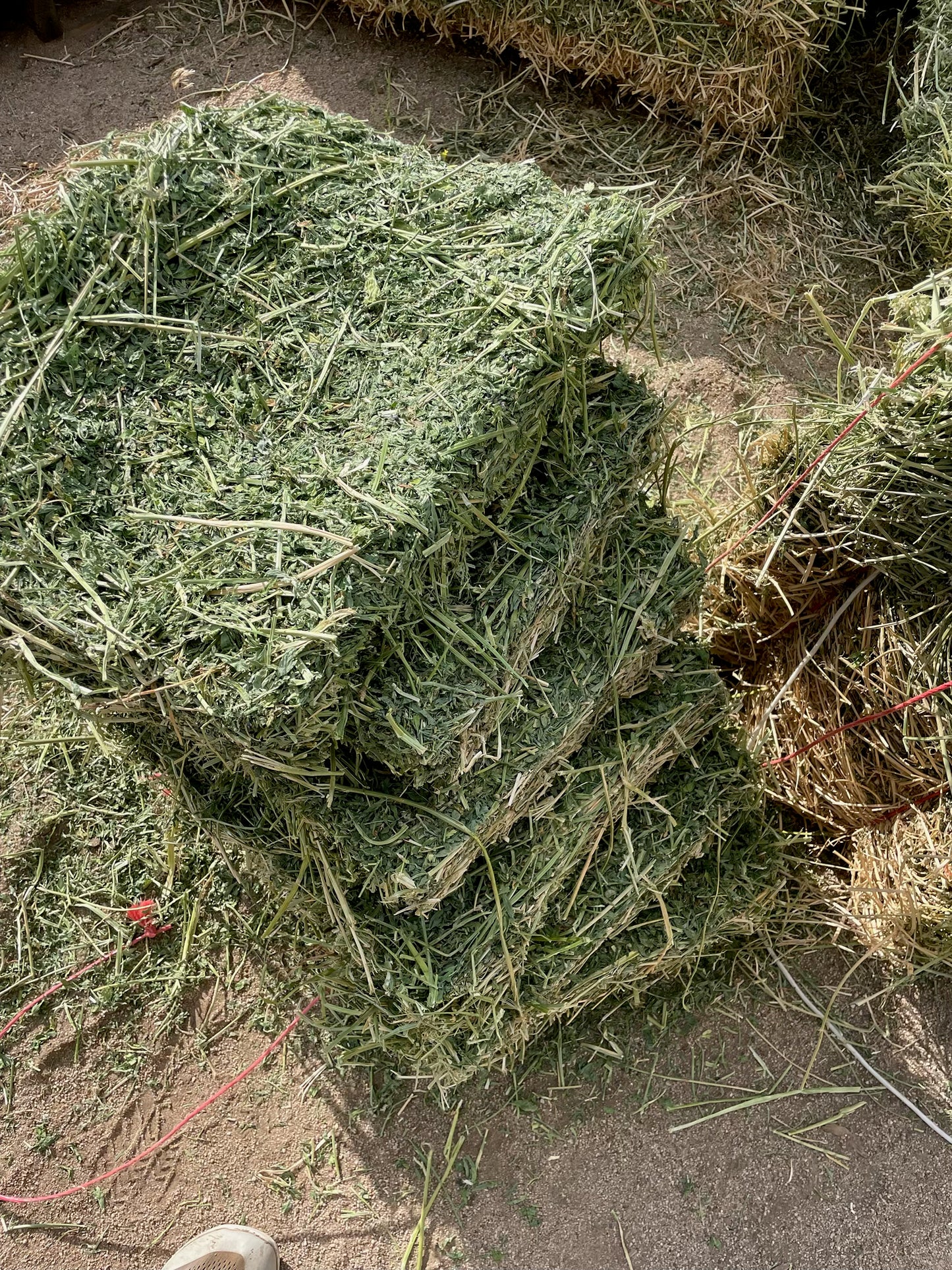 2025 2nd Cutting Alfalfa Bundles (14)