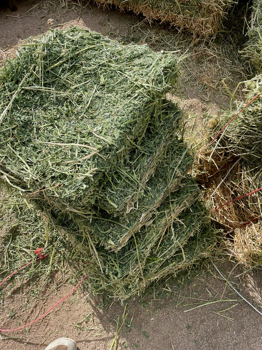 2025 2nd Cutting Alfalfa Bundles (14)