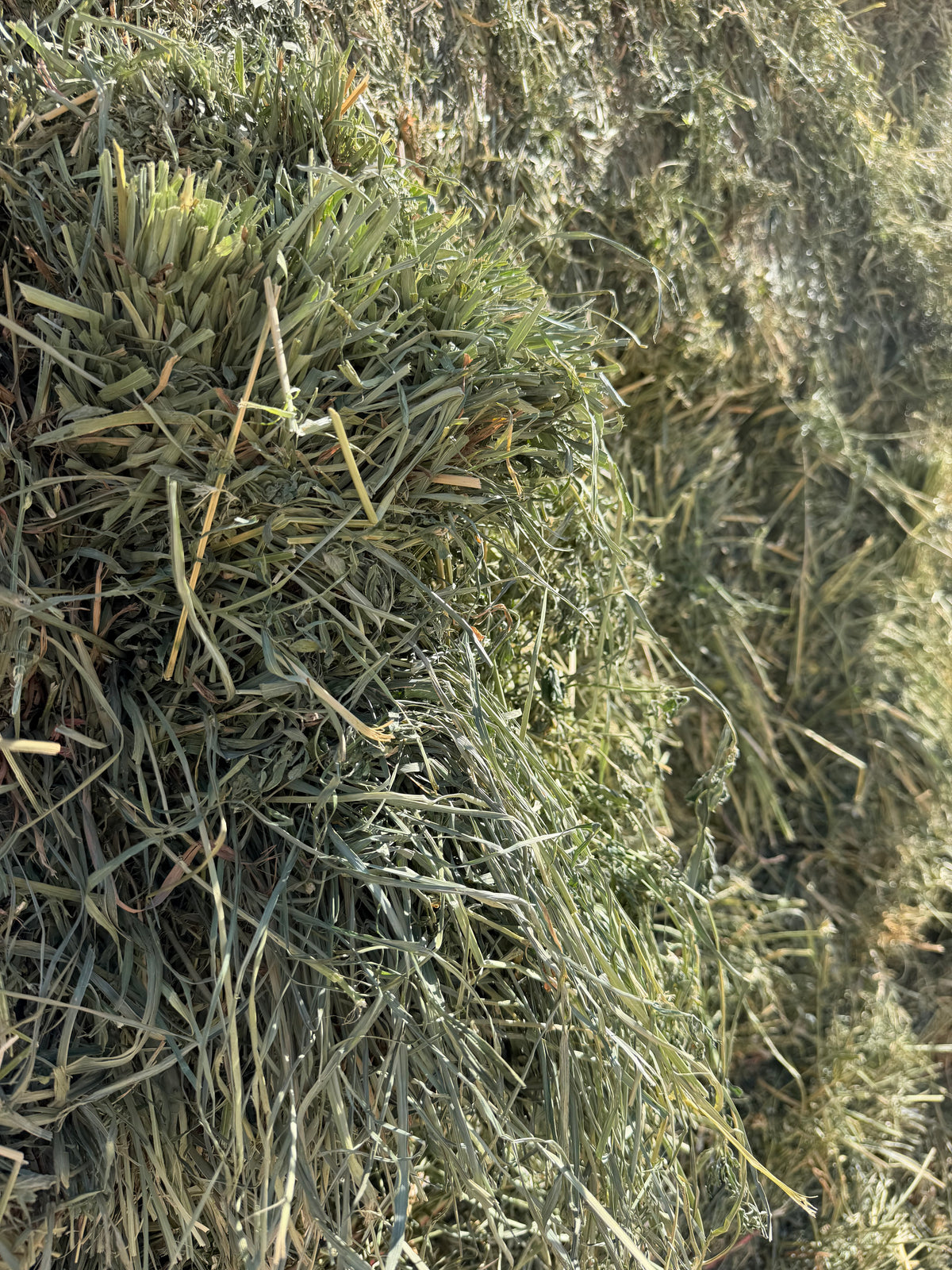Premium Mix Hay 3 Tie Bales - 3rd Cut