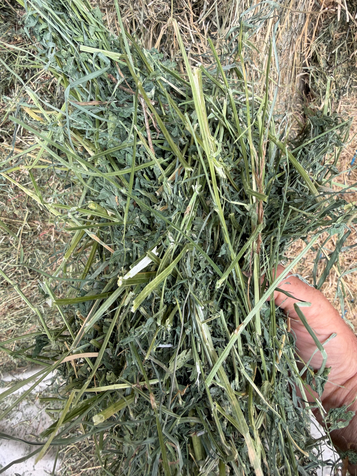 Premium Mix Hay 3 Tie Bales - 3rd Cut