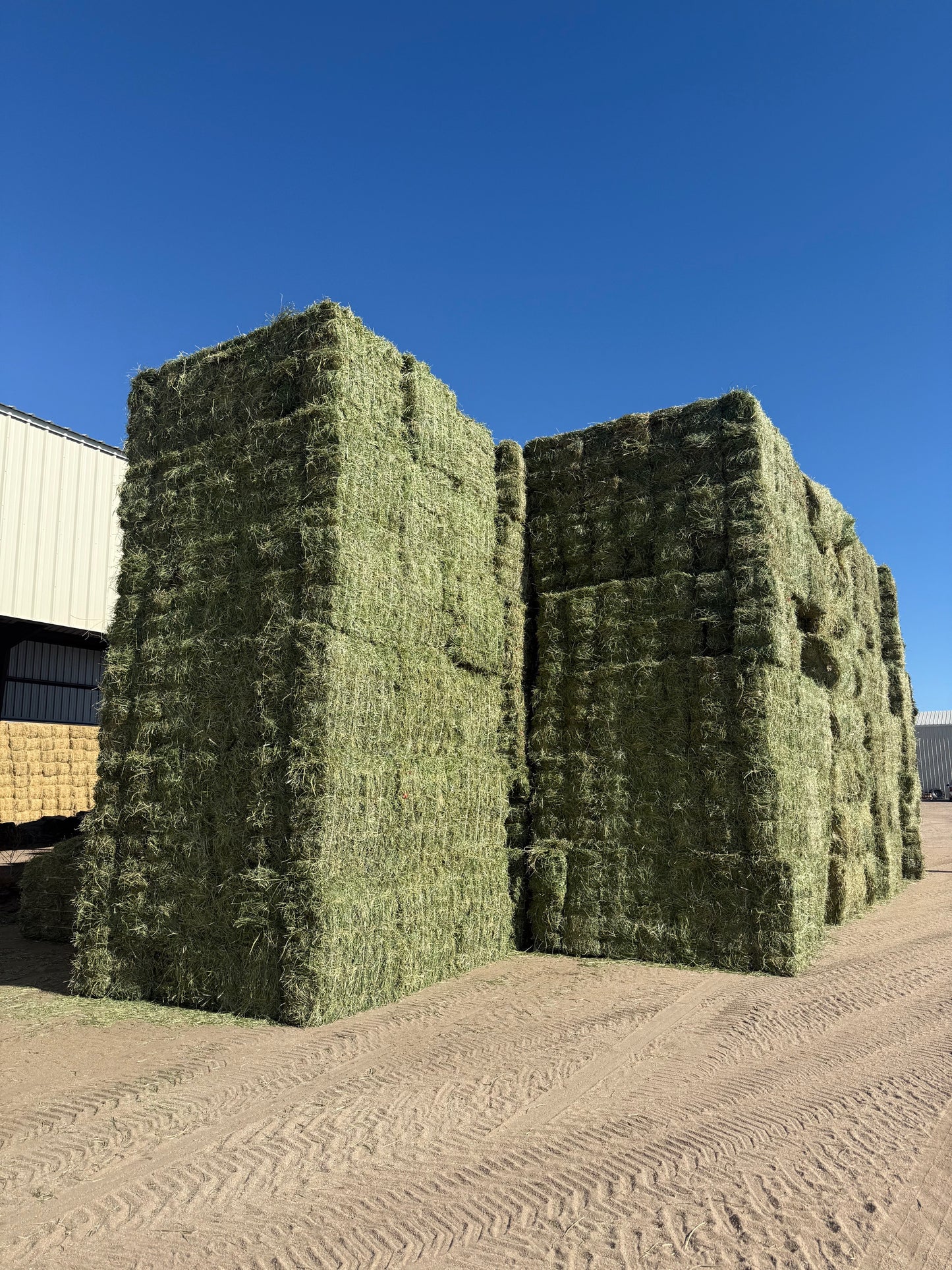 2025 2nd Cutting Alfalfa Bundles (14)