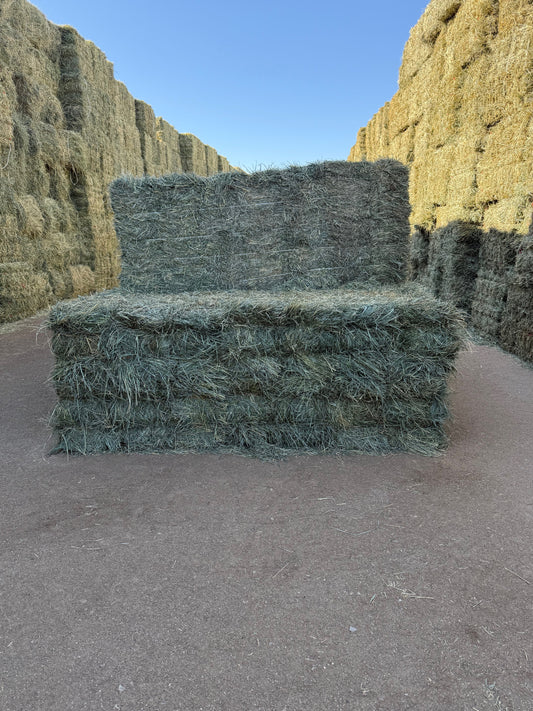 2025 2nd Cutting Mix (Orchard & Alfalfa) 80/20 - Heavy Grass Bundles (14)