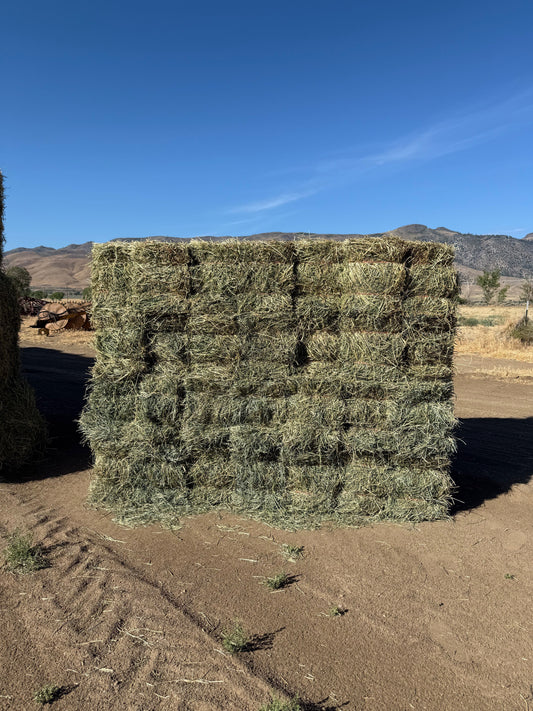 2025 2nd Cutting Mix (Orchard & Alfalfa) - 50-50 Bundles (14)