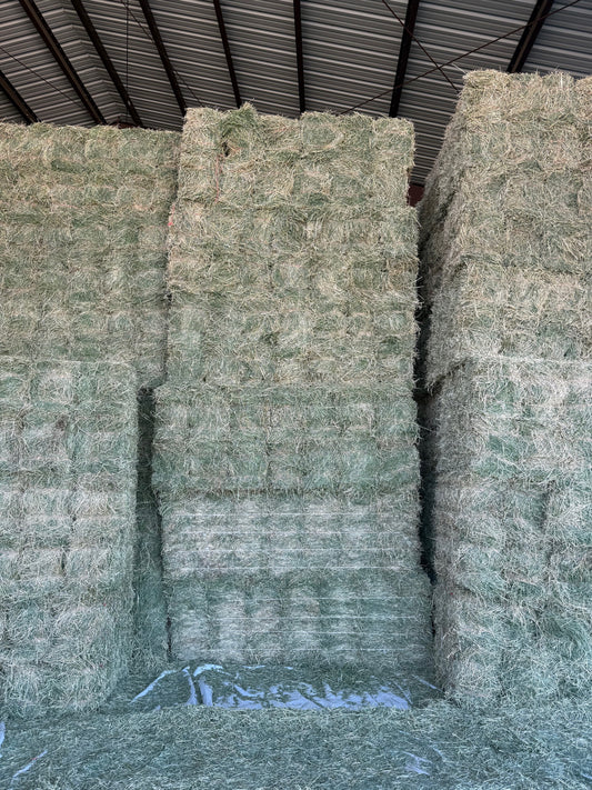 2025 3rd Cutting Alfalfa Bundles (14)