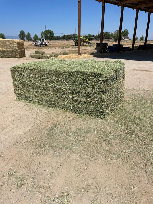 2024 1st Cut Alfalfa Bundle